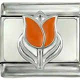 Nederlandsk tulipan