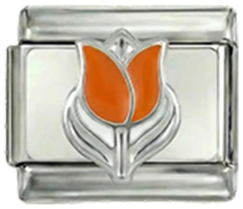 Nederlandsk tulipan