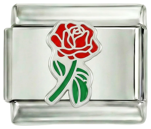 Hel rød rose med grønn stilk